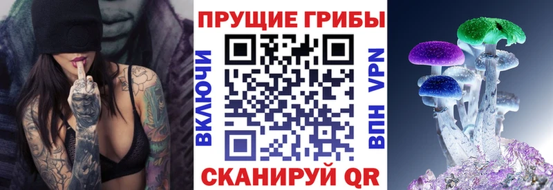 ссылка на мегу ONION  цены наркотик  Кяхта  Псилоцибиновые грибы MAGIC MUSHROOMS 